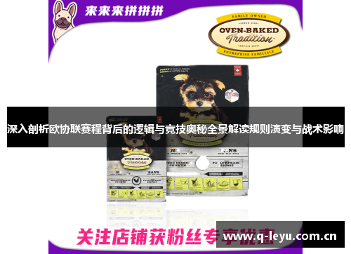 深入剖析欧协联赛程背后的逻辑与竞技奥秘全景解读规则演变与战术影响